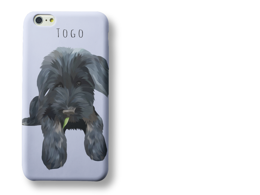 Gepersonaliseerde Telefoonhoesjes